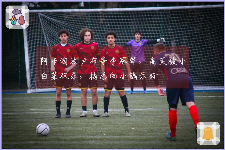 阿卡淘汰卢布争夺冠军，高芙被小白菜双杀，梅总向小钱示好