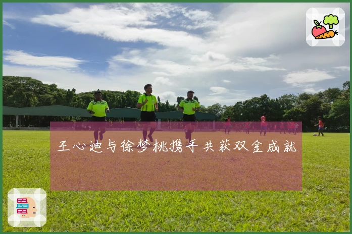 王心迪与徐梦桃携手共获双金成就