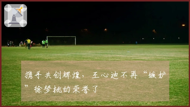 携手共创辉煌，王心迪不再“嫉妒”徐梦桃的荣誉了