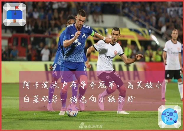 阿卡淘汰卢布争夺冠军，高芙被小白菜双杀，梅总向小钱示好