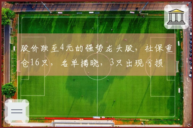 股价跌至4元的强势龙头股，社保重仓16只，名单揭晓，3只出现亏损