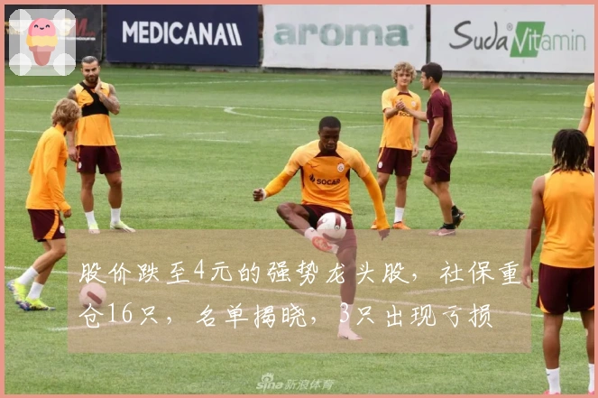 股价跌至4元的强势龙头股，社保重仓16只，名单揭晓，3只出现亏损