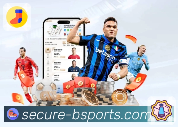 <strong>B体育App</strong>界面展示